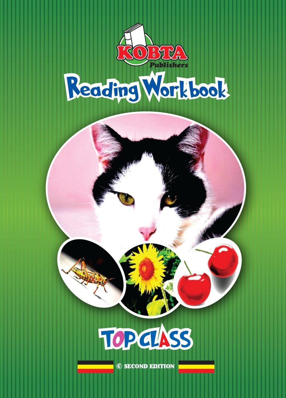 READING