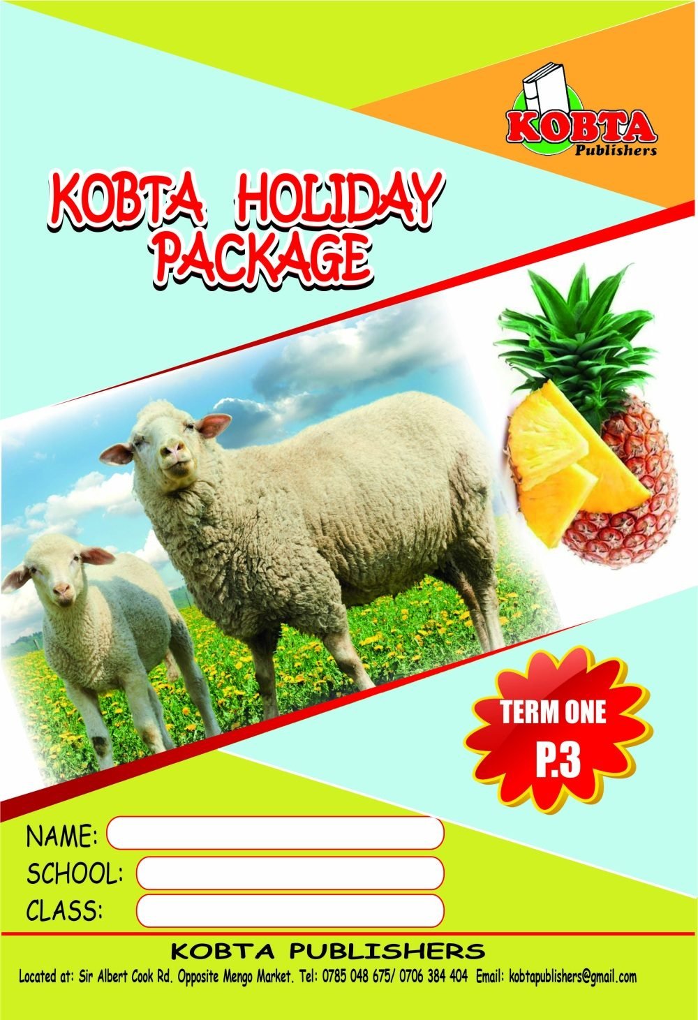 HOLIDAY PACKAGE