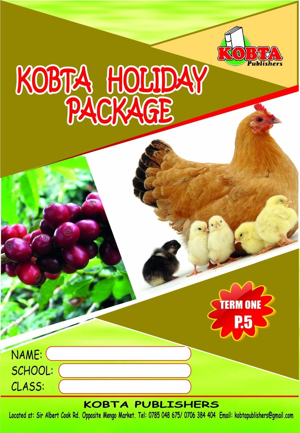 HOLIDAY PACKAGE